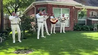 Mariachi Bands Make Your Birthdays, Holidays, & Celebrations Spectacular! Live Life To The Fullest!