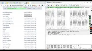 802.11 Wireshark Packet Capture