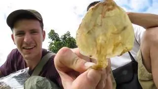 Backpacking Asia - Travel Video of Thailand, Malaysia, Indonesia