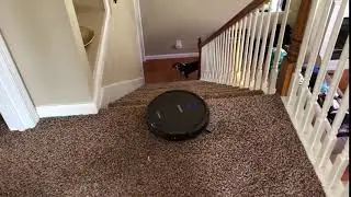 Ecovacs Deetbot N79S Stair Test
