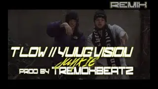 YUNG VISION x T-LOW - JUNKIE [Prod. by TREMOXBEATZ] 2024 Remix