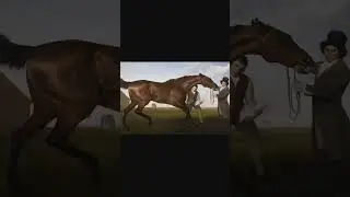 George Stubbs, Hambletonian dopo la corsa, 1799-1800 #artesplorando #arte #shortdarte