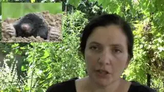 Úvod do permakulturního farmaření - Denisa Tomášková