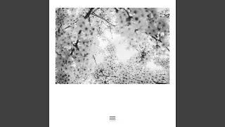 Borrowed Air