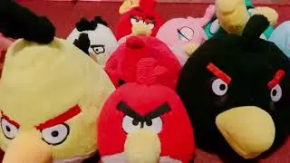 The Adventures Of The Angry Birds Show Announcement Clip | Angry-Verse