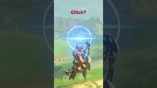 Zelda botw glitch?!