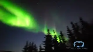 February 25, 2024 Aurora Hunting Experience with Arctic Tours Canada