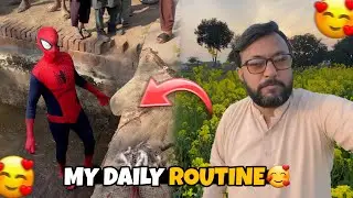 Daily Life Routine | Dera, Shop & Wheat Field Visit
