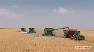 Wheat Harvest 2018
