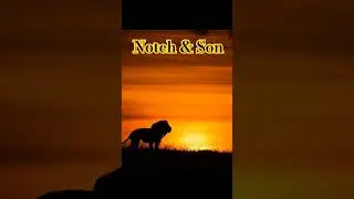 Notch & Son: The Last Kings of the Wild 🦁👑#shorts #lion #notch&son
