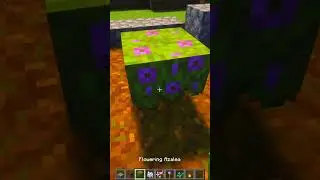 Minecraft Garden Idea