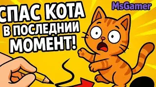 Pet's Riddles Brain Puzzle level 1-10 Android gameplay 