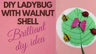 DIY Walnut Shell Ladybug | Ladybug with Walnut Shell | Make Walnut Shell Ladybug| Art by IQRA's Hand