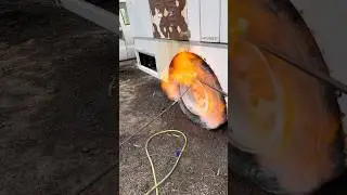 Использовать ОГОНЬ, чтобы НАКАЧАТЬ ШИНУ!?