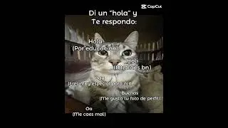 Di un hola y te respondo