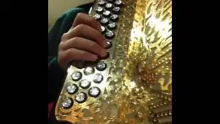 Rio lima na concertina