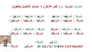 23 Dec 2025 Arabic Verbs Past & present tense