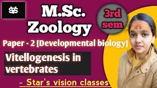 Vitellogenesis in vertebrates/developmental biology/msc 3rd sem zoology/star's vision classes 