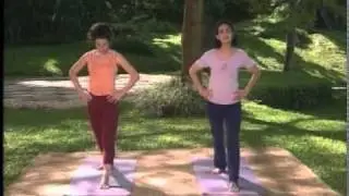 Yoga Zone- Abs.2.