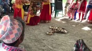 Maruni Nacha from Uralabari, morang