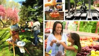 Walter Reed Tomorrow - Development Vision