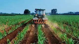 Inter-tillage Fertilizer Applicator (Plough Ridging), it can plow 0.5 hectares in an hour.