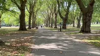 Walking on dry leaves #HighburyFields #soundeffect #audio