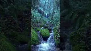 Relaxing Rain Noise + Forest Stream | 10-Hour Version on Our Channel!