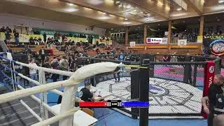 ring 1 bregenz open 2025