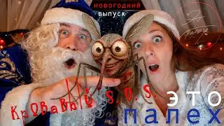 Это Палех. Кровавый SOS. Новогодний выпуск