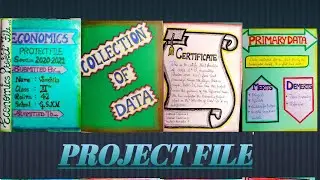 Economics Project File on COLLECTION OF DATA.....