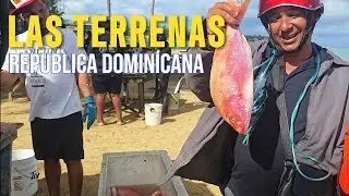 &iquest;LO MEJOR ESTA EN LAS TERRENAS?  REPUBLICA DOMINICANA.