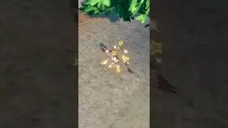 ETOURMI SHINY