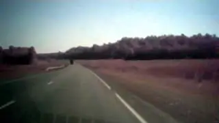 Russian M7 Volga Federal highway (European route E22): Bogorodskoe II