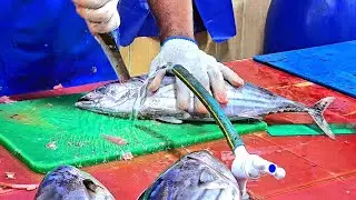 Masterful Tuna Cutting: A Display of Incredible Precision and Skill