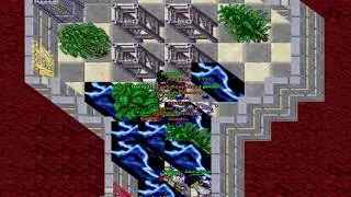 Lawsky - Tibia !