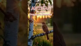 Antigas - Tão Linda (Grupo Nova Dimensão)
