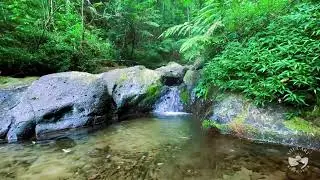 River Sounds for Sleeping Deeply | Calm Flowing Water Nature Ambience