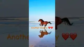 When Freedom Meets Friendship 🐎❤️ #horse #freedom