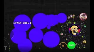 145K Agar.io private server (instant merge)