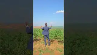 Plot for sale in #bugesera  #realestate