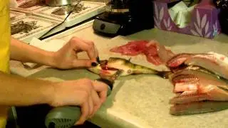 First Fish Cleaning