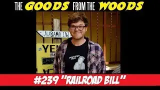 Episode #239 - 