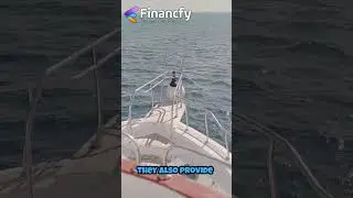 Financfy: Accelerate Your Drive with Quick and Convenient Car Loans in Australia!🌐