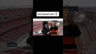 A bird jumpscare on a live TV😨#shorts