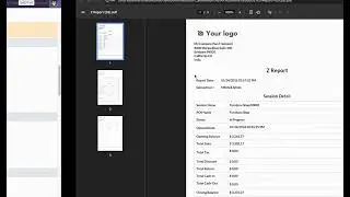 All In One POS Reports - Print Z Report Frontend Odoo V19