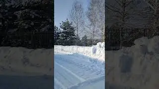 #Shorts Из серии -- зимушка зима.