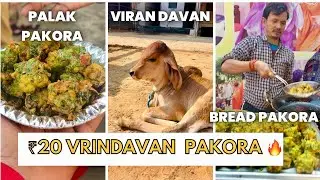 Vrindavan ₹20 Pakora | Palak Pakora & Bread Pakoda | Street Food India