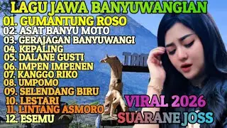 LAGU JAWA BANYUWANGIAN VIRAL 2026 ‼️ MUSIK JOSS ENAK E POL COCOK BUAT TEMAN PERJALANAN 