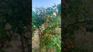 Природа завжди дарує силу та натхнення #жити #naturelovers #travel
